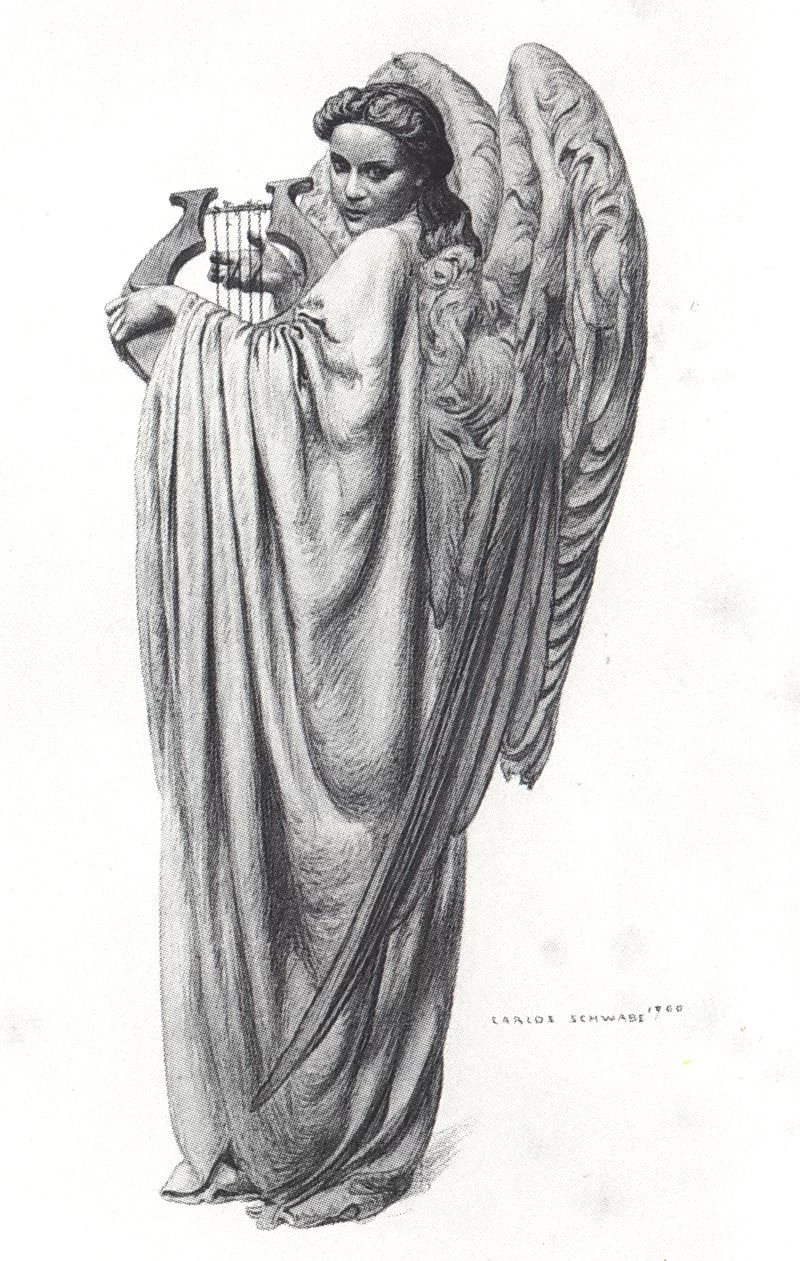 Lira angelica